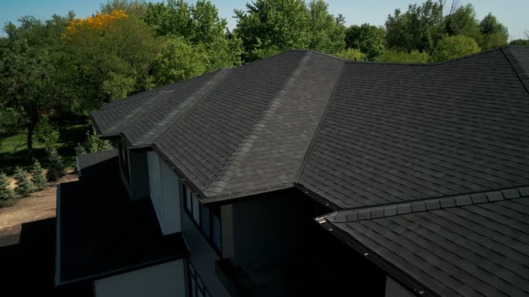 Best Roof Moss and Algae Removal  in Cross Plains, TX