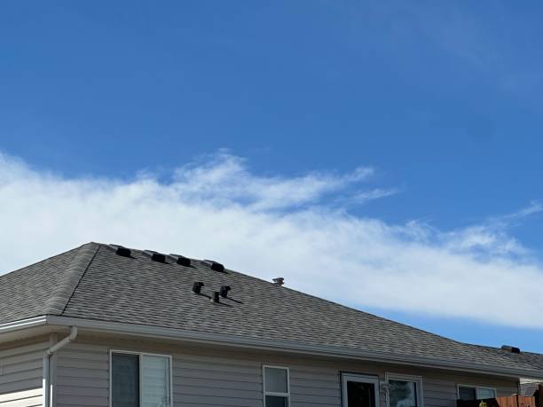 Best Chimney Flashing Repair  in Cross Plains, TX